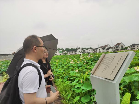 3377体育在线加速节点