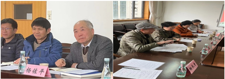 3377体育在线平台