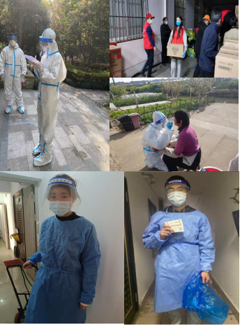 3377体育在线指定入口