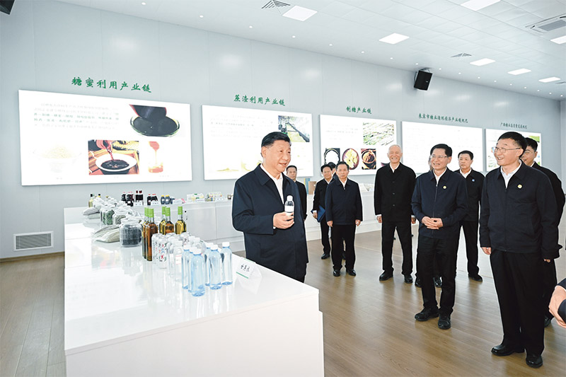 3377体育在线备用网址